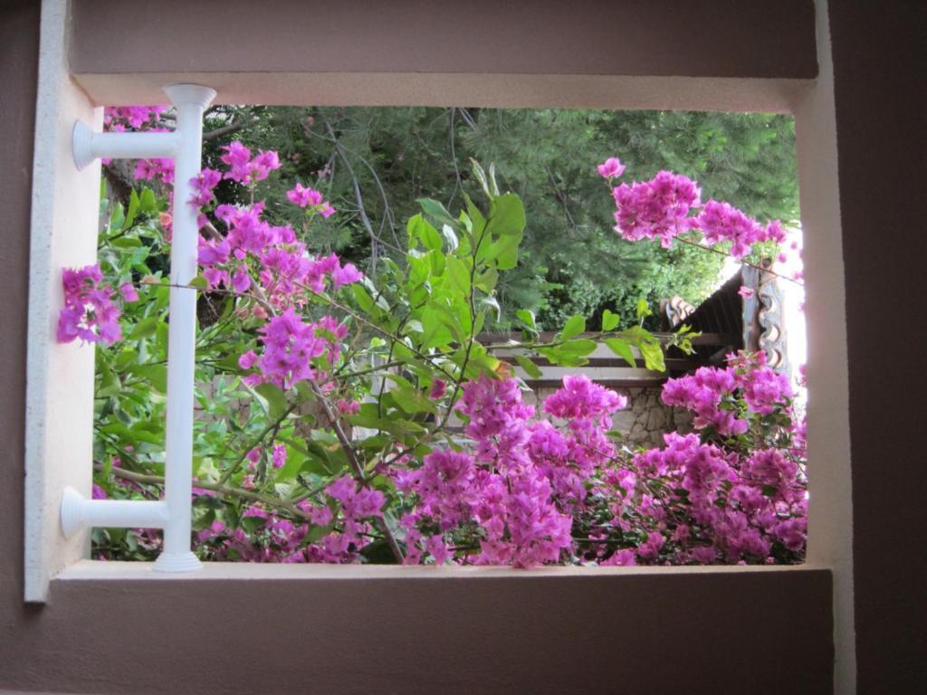 Apart Hotel 3T Kalkan Dış mekan fotoğraf